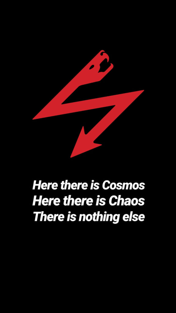 Cosmos & Chaos